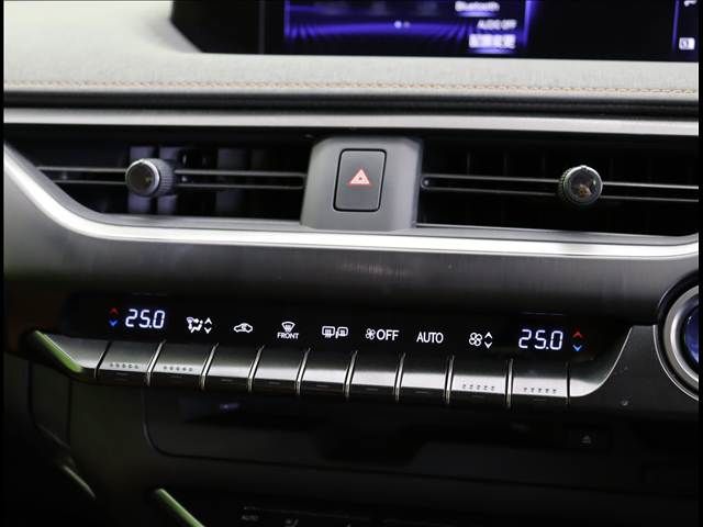 TOYOTA LEXUS UX250h 2022