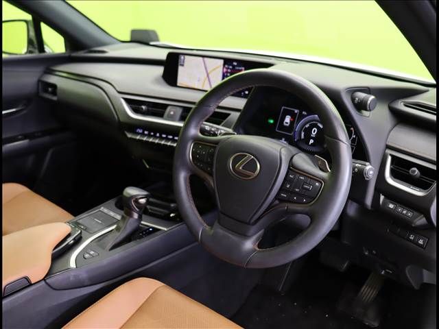 TOYOTA LEXUS UX250h 2022