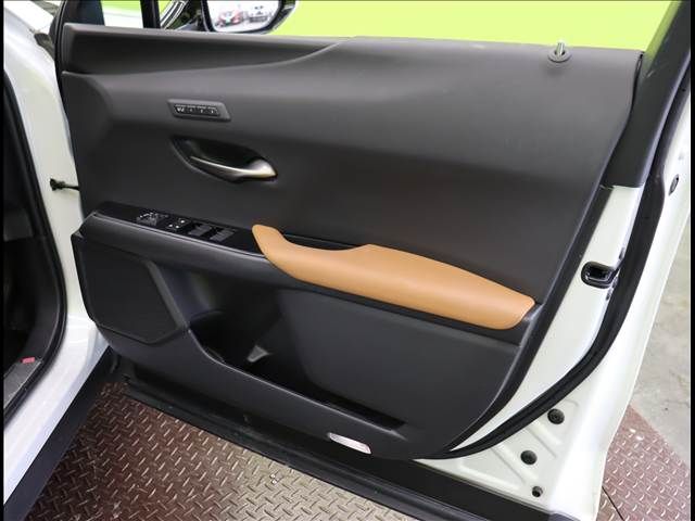 TOYOTA LEXUS UX250h 2022