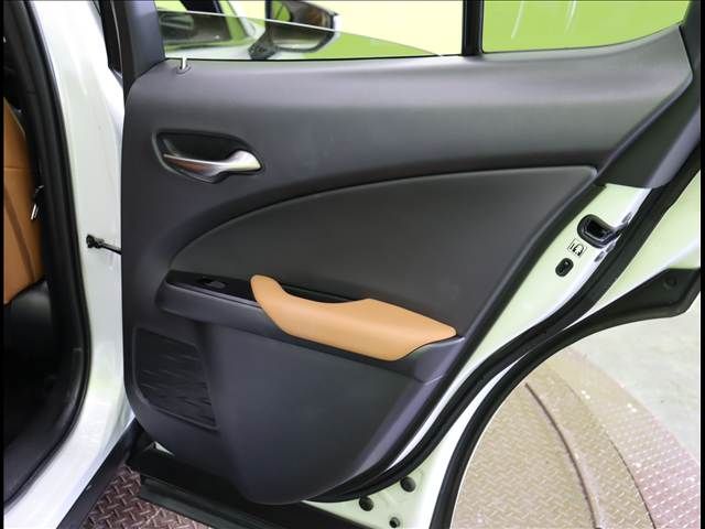 TOYOTA LEXUS UX250h 2022