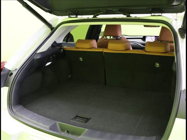 TOYOTA LEXUS UX250h 2022