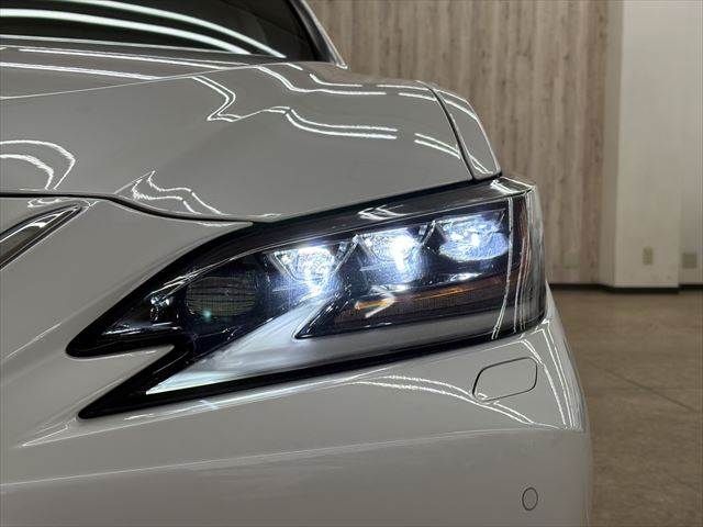 TOYOTA LEXUS ES300h 2019