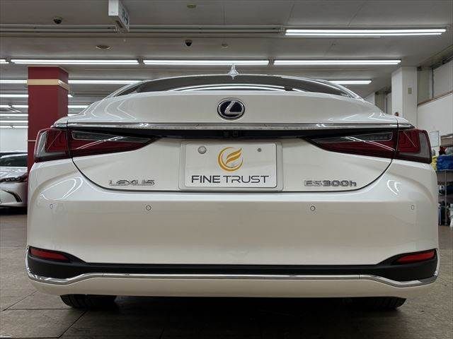 TOYOTA LEXUS ES300h 2019