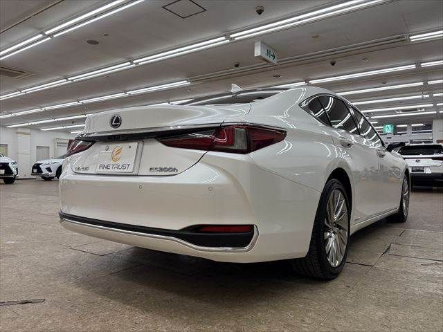 TOYOTA LEXUS ES300h 2019