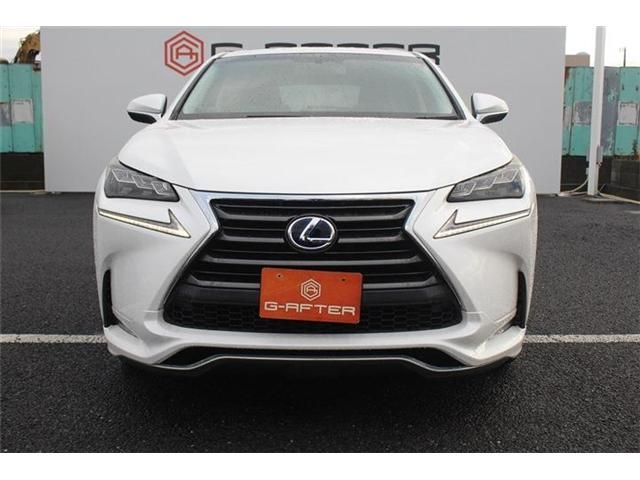 TOYOTA LEXUS NX300h 2015