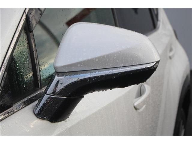 TOYOTA LEXUS NX300h 2015