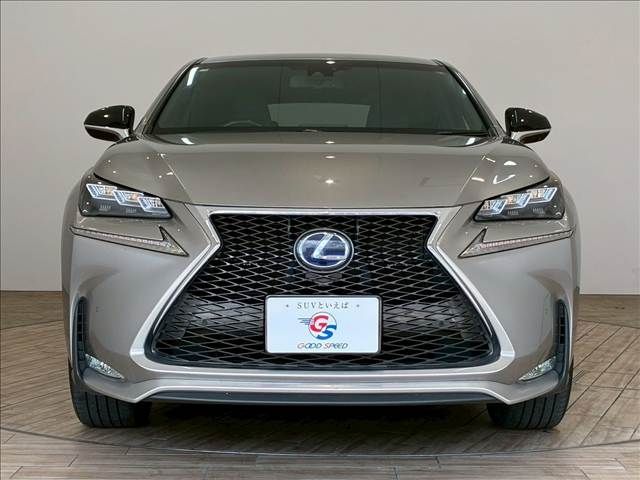 TOYOTA LEXUS NX300h 2016