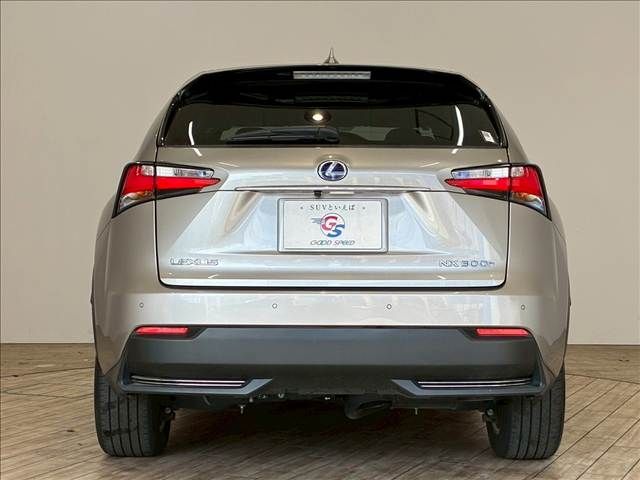 TOYOTA LEXUS NX300h 2016