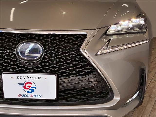 TOYOTA LEXUS NX300h 2016