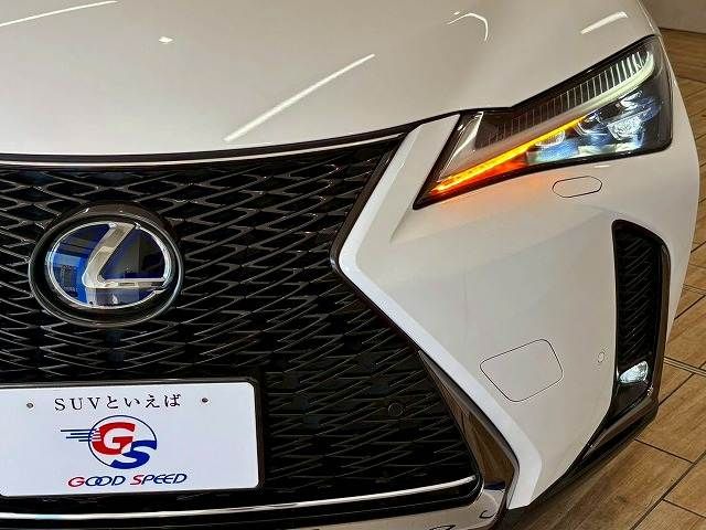 TOYOTA LEXUS UX250h AWD 2020