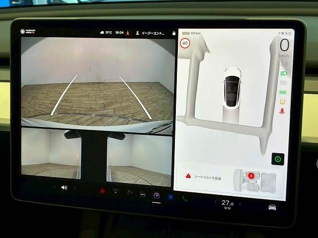 TESLA TESLA MODEL 3 2022