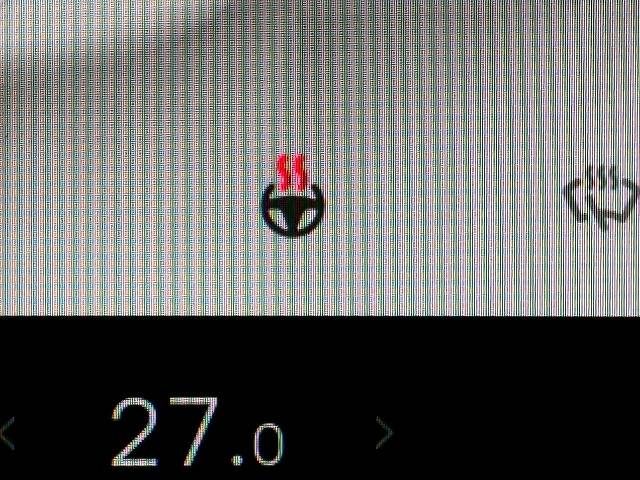 TESLA TESLA MODEL 3 2022