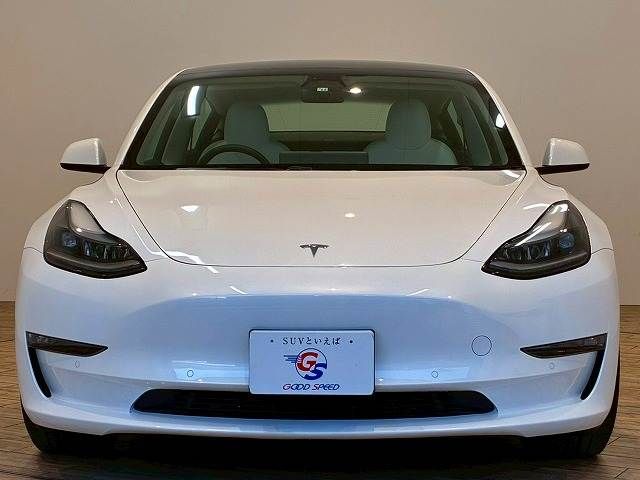 TESLA TESLA MODEL 3 2022