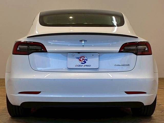 TESLA TESLA MODEL 3 2022