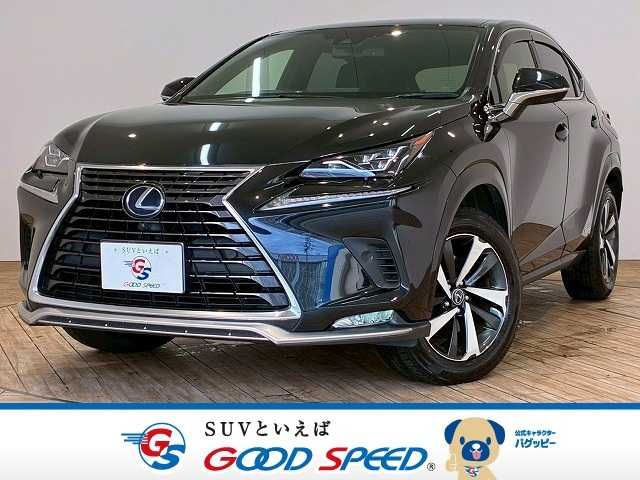 TOYOTA LEXUS NX300h 2020