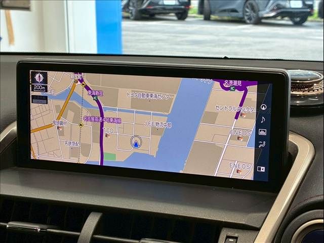 TOYOTA LEXUS NX300h 2020