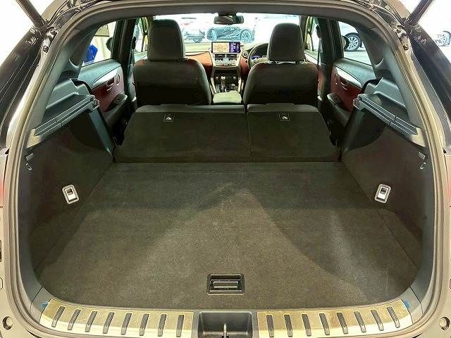 TOYOTA LEXUS NX300h 2020