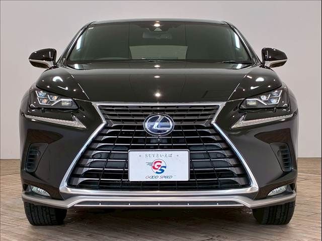 TOYOTA LEXUS NX300h 2020