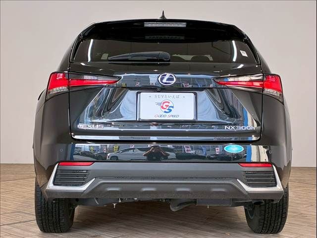 TOYOTA LEXUS NX300h 2020