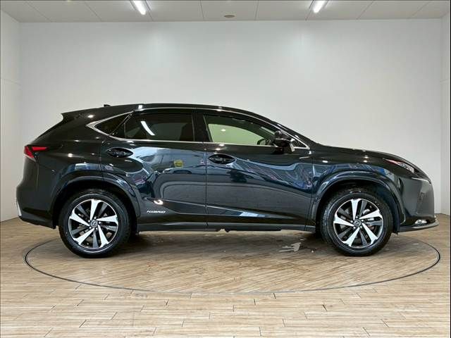 TOYOTA LEXUS NX300h 2020