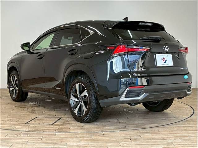 TOYOTA LEXUS NX300h 2020
