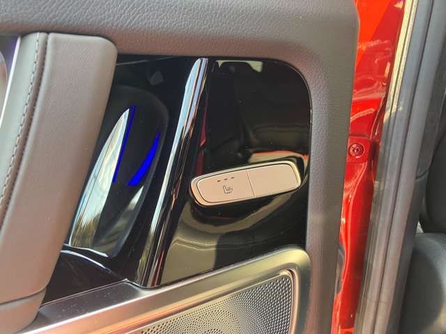 MERCEDES BENZ MERCEDES BENZ G class 2021