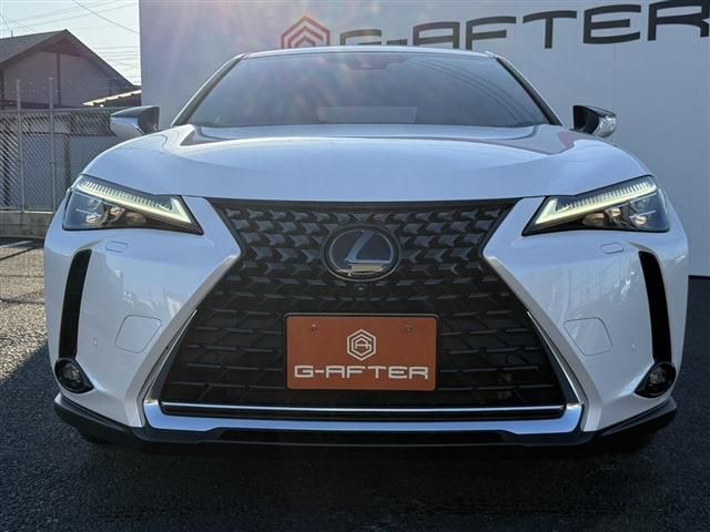 TOYOTA LEXUS UX250h 2019