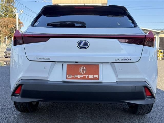 TOYOTA LEXUS UX250h 2019