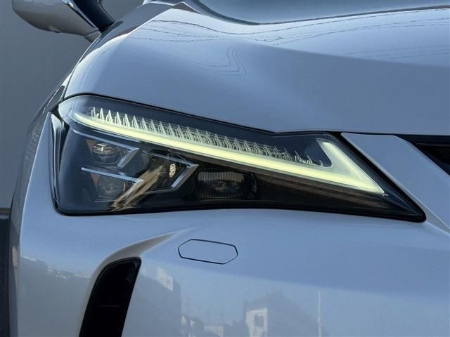 TOYOTA LEXUS UX250h 2019