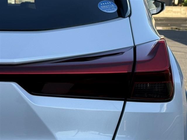 TOYOTA LEXUS UX250h 2019