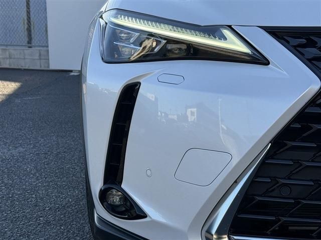 TOYOTA LEXUS UX250h 2019