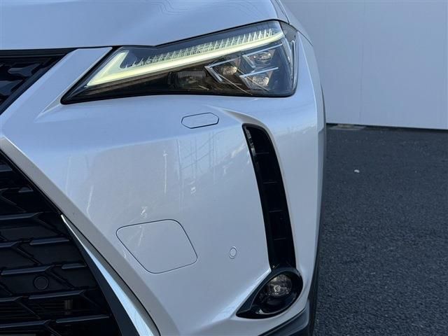 TOYOTA LEXUS UX250h 2019