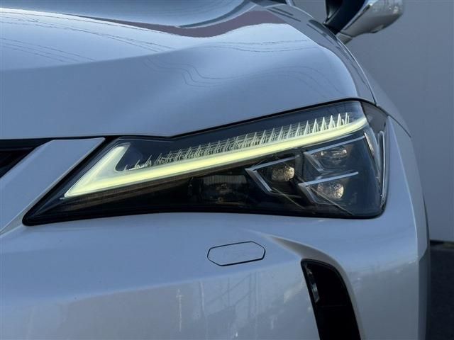 TOYOTA LEXUS UX250h 2019