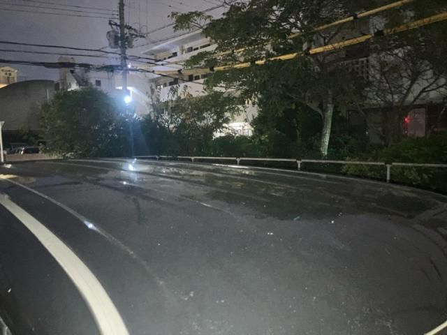 SUZUKI PALETTE SW 2010