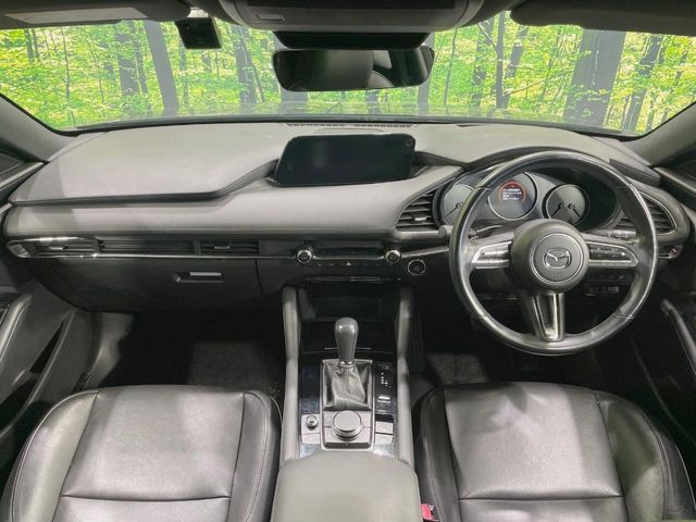 MAZDA MAZDA3 FASTBACK 2019