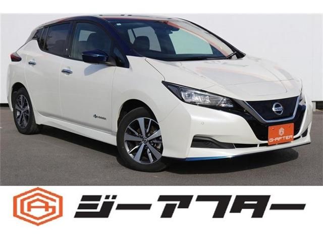 NISSAN LEAF 2019