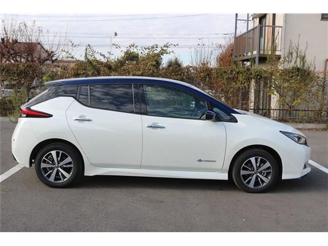 NISSAN LEAF 2019