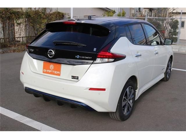 NISSAN LEAF 2019