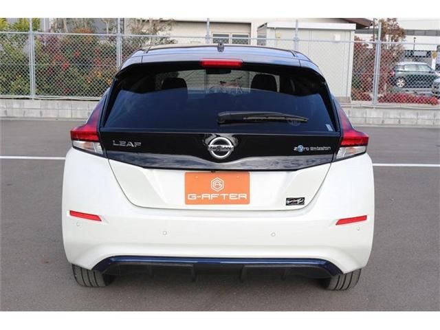 NISSAN LEAF 2019