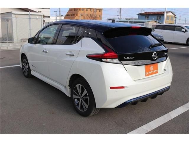NISSAN LEAF 2019