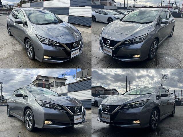 NISSAN LEAF 2018
