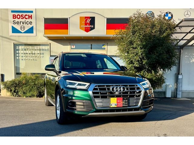 AUDI AUDI Q5 2019
