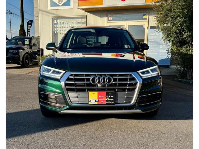 AUDI AUDI Q5 2019