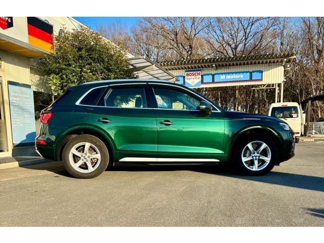 AUDI AUDI Q5 2019