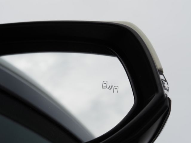 TOYOTA ALPHARD hybrid 4WD 2020