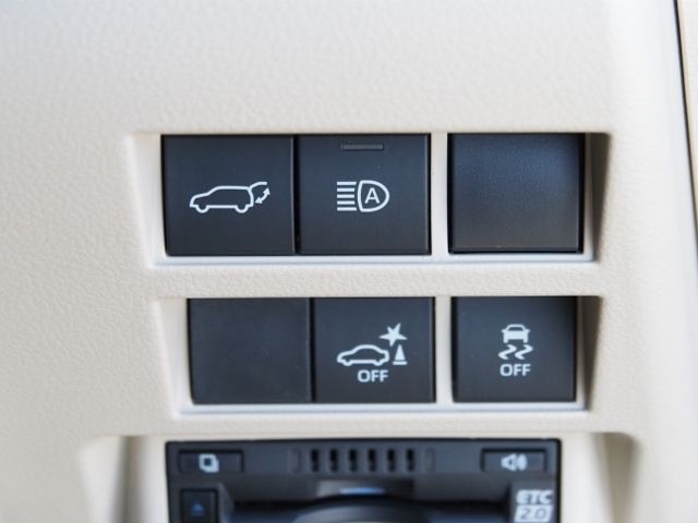 TOYOTA LANDCRUISER wagon 2024