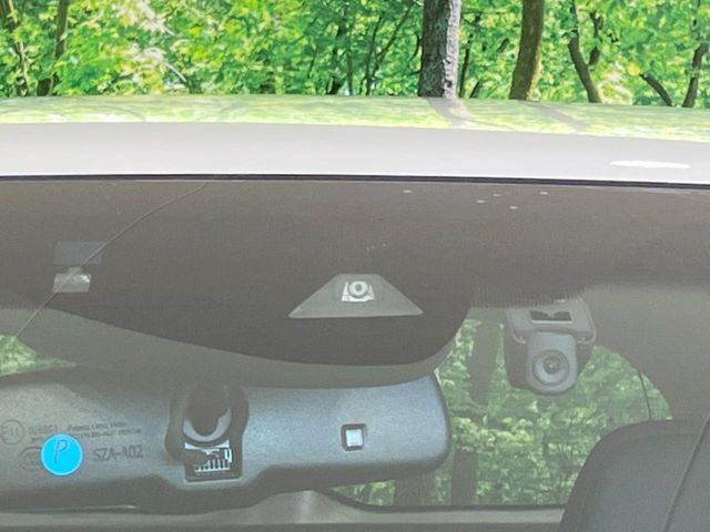 HONDA VEZEL HYBRID 2019