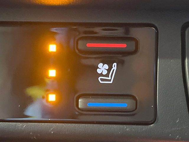 TOYOTA RAV4 4WD 2024