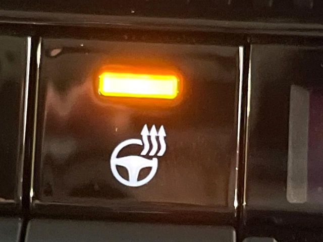 TOYOTA LANDCRUISER 250 2024