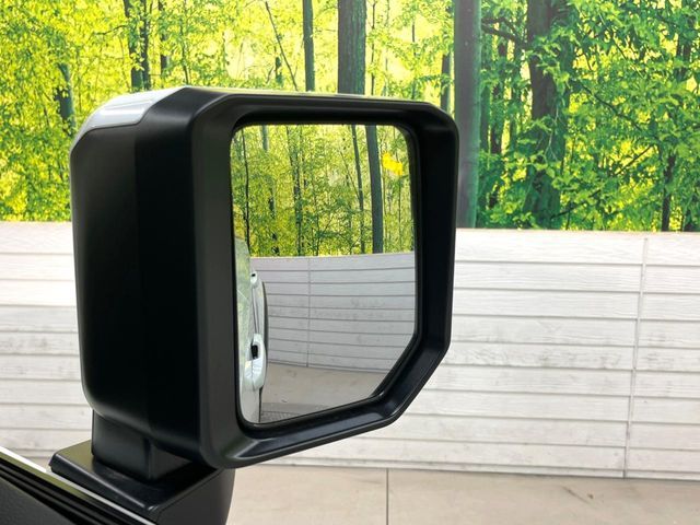 TOYOTA LANDCRUISER 250 2024